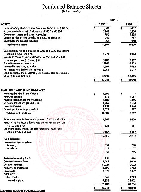 Graphic of Independent Auditor's Report Not Shown