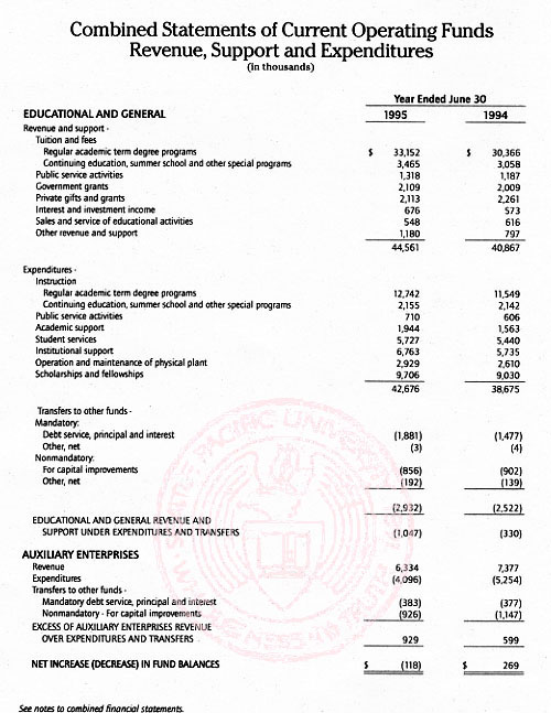 Graphic of Independent Auditor's Report Not Shown