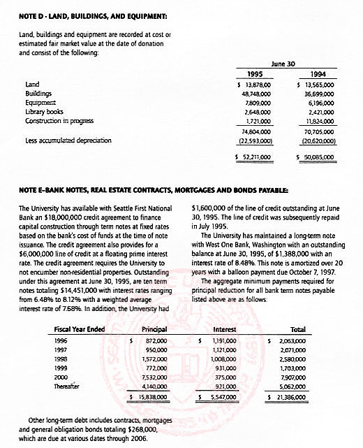 Graphic of Independent Auditor's Report Not Shown