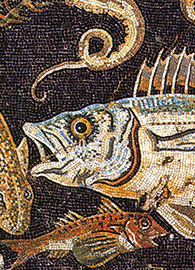 Roman mosaic from in house VIII.2.16 in Pompeii