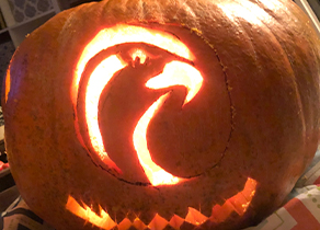 Falcon Pumpkin