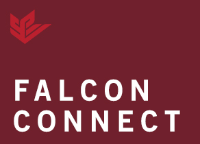 Falcon Connect
