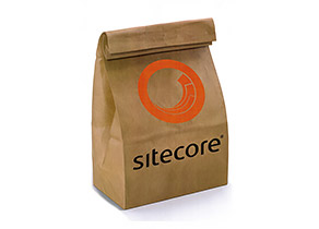 Site core Brown Bag