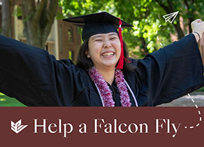 Help a Falcon Fly