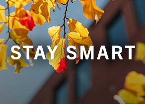 Stay Smart Logo