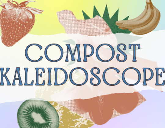 Graphic of fruits and vegetables for Compost Kaleidoscope