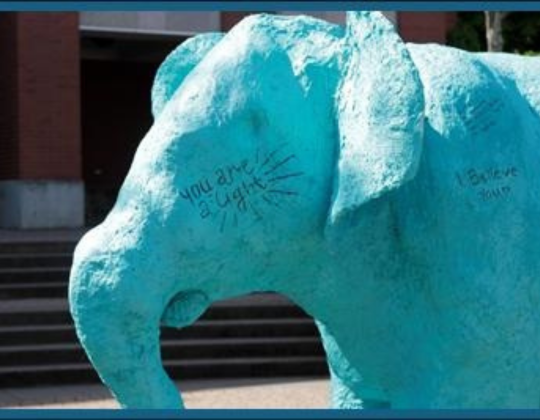 Elephant in the room sexual assault awareness