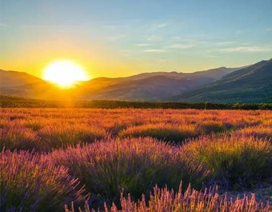 sunrise over prairie