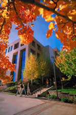 library in fall